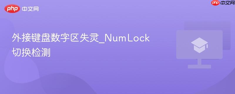 外接键盘数字区失灵_NumLock切换检测  第1张