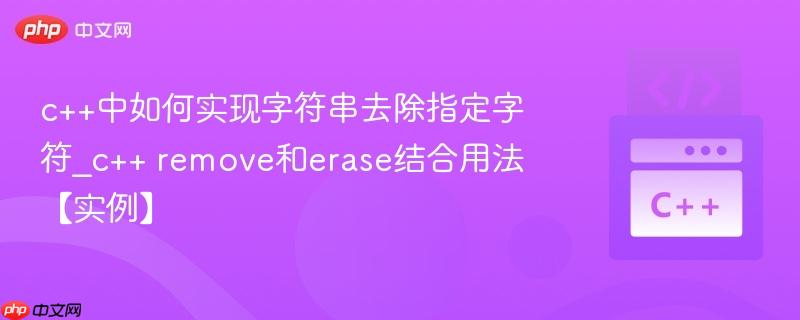 c++中如何实现字符串去除指定字符_c++ remove和erase结合用法【实例】  第1张