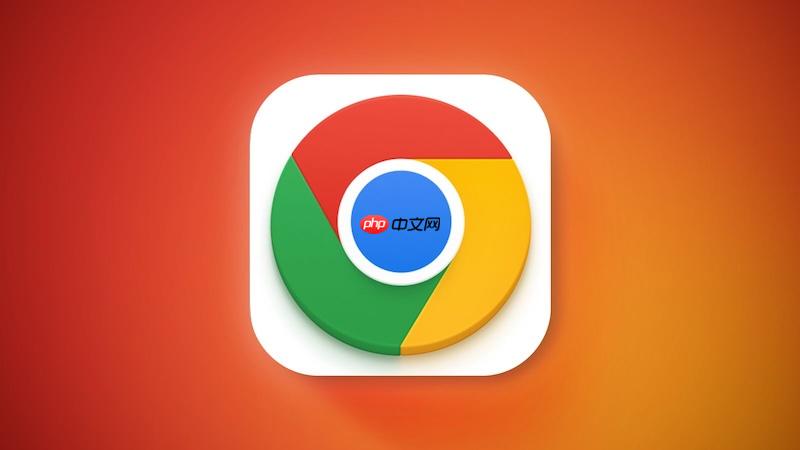 谷歌浏览器怎么调整内置PDF阅读器的视图_Chrome PDF阅读器视图调整方法  第1张