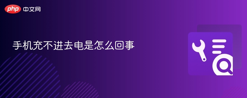 手机充不进去电是怎么回事  第1张
