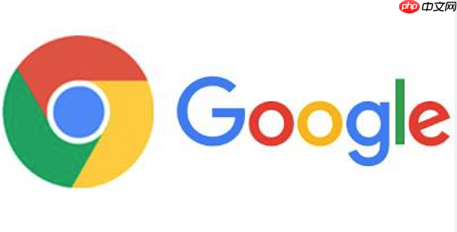 谷歌浏览器为什么无法使用网上银行的U盾_谷歌浏览器U盾无法使用原因  第1张