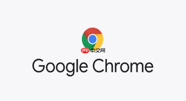 Google最新官方访问地址 Google平台平台直达首页链接 第4张 Google最新官方访问地址 Google平台平台直达首页链接 第4张