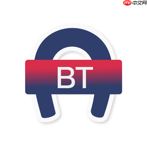 bt搜索引擎主页链接_bt搜索引擎官方网站官方地址  第1张