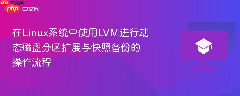 在Linux系统中使用LVM进行动态磁盘分区扩展与快照备份的操作流程  第1张