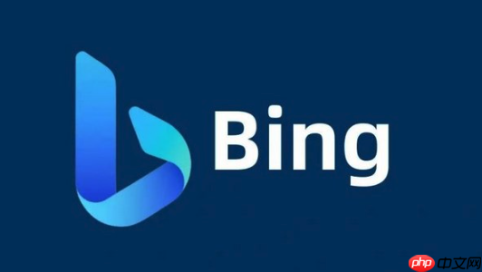 Bing搜索最新官方主页网址 Bing搜索平台入口直达访问链接  第1张