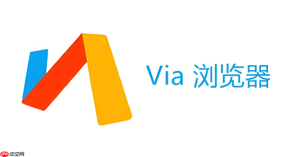 Via浏览器怎么调用第三方下载器下载文件_Via浏览器使用外部下载工具的方法