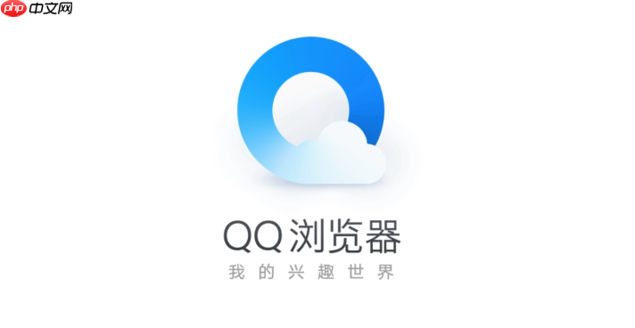 qq浏览器怎么看flash动画_QQ浏览器启用Flash插件播放网页动画教程  第1张