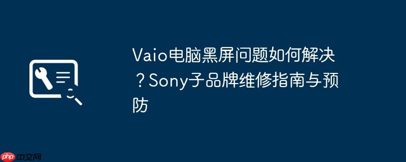 Vaio电脑黑屏问题如何解决？Sony子品牌维修指南与预防