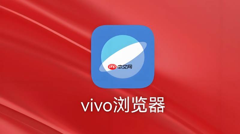 vivo浏览器扫描二维码功能在哪里_vivo浏览器使用扫一扫功能入口