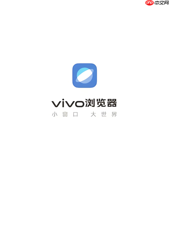 vivo浏览器安全警告怎么关闭_vivo浏览器取消网站安全风险提示方法