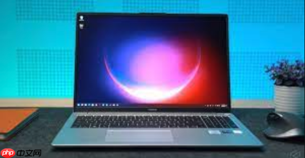 Windows上VOB文件无法播放怎么办？教你安装DVD播放器的详细步骤