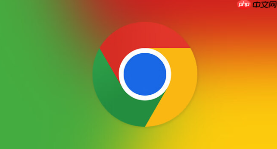 谷歌浏览器直接访问网页入口-谷歌在线登录一键便捷  第2张