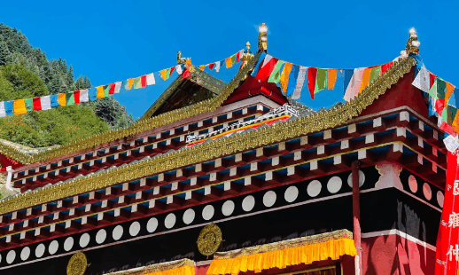 新龙为啥是甘孜最危险的县3