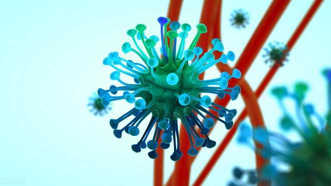 感染XBB.1.16病毒如何治疗？XBB.1.16是什么病毒？