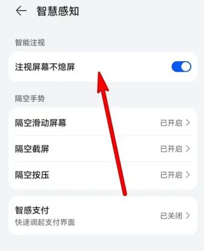 华为Mate60Pro注视不熄屏怎么设置? 华为Mate60Pro开启注视不熄屏的设置方法插图3