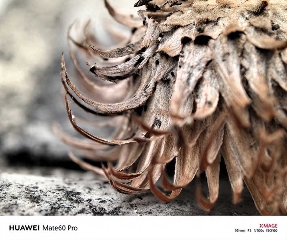 华为Mate60和华为Mate60Pro有什么区别？华为Mate60和华为Mate60Pro对比评测插图6