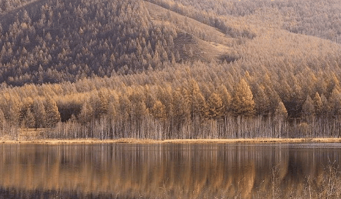 2023国庆去内蒙古草原还是绿色的吗?国庆去内蒙古哪里的草还是绿的