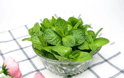 老鼠怕什么气味一闻就跑?老鼠怕什么气味怎样才能灭老鼠