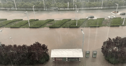 特大暴雨是指24小时降水量超过多少毫米?特大暴雨强风雨来袭怎么办