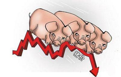 本周猪价有何变化 继续下探 临近双节终端消费或有所提振(本周猪价走势)