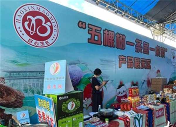 金融助力土特产新样本是什么 茂名五棵树一条鱼一桌菜(金融助力产业)