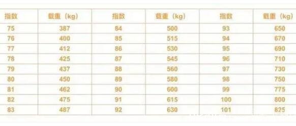 轮胎上的数字和字母是什么意思?轮胎上的数字和字母含义插图1 轮胎上的数字和字母是什么意思?轮胎上的数字和字母含义插图1