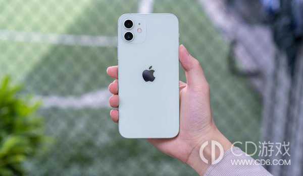 iPhone12怎么看电池循环次数_iPhone12可以看电池循环次数吗