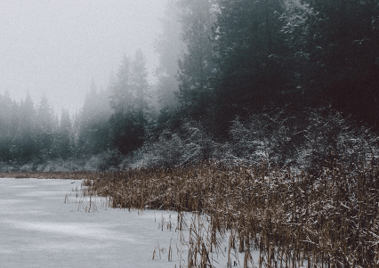 2021冬至要扫墓吗?冬至不上坟祭祖有什么说法