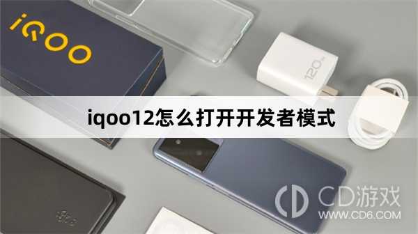 iqoo12打开开发者模式方法?iqoo12怎么打开开发者模式