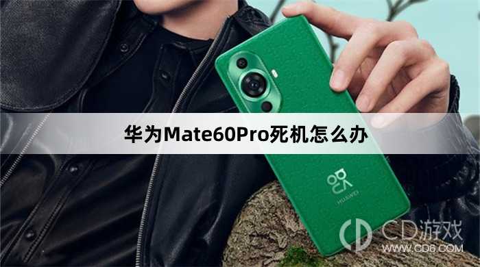 华为Mate60Pro死机解决教程介绍?华为Mate60Pro死机怎么办插图