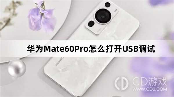 华为Mate60Pro打开USB调试教程介绍?华为Mate60Pro怎么打开USB调试插图 华为Mate60Pro打开USB调试教程介绍?华为Mate60Pro怎么打开USB调试插图