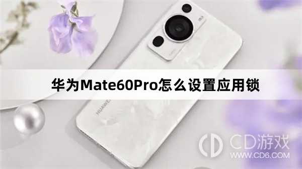 华为Mate60Pro设置应用锁教程介绍?华为Mate60Pro怎么设置应用锁插图