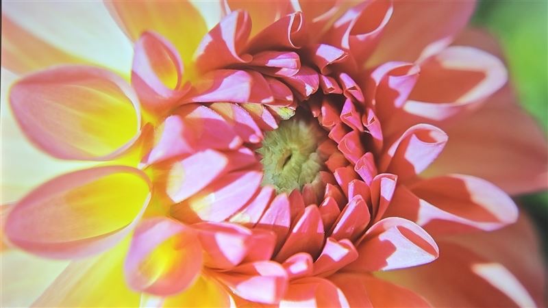 当贝X5Pro值得入手吗 激光投影仪当贝X5Pro详细评测插图17 当贝X5Pro值得入手吗 激光投影仪当贝X5Pro详细评测插图17