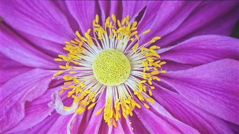 当贝X5Pro值得入手吗 激光投影仪当贝X5Pro详细评测插图18 当贝X5Pro值得入手吗 激光投影仪当贝X5Pro详细评测插图18