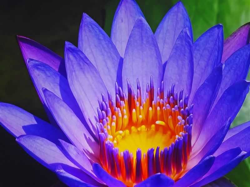 当贝X5Pro值得入手吗 激光投影仪当贝X5Pro详细评测插图26 当贝X5Pro值得入手吗 激光投影仪当贝X5Pro详细评测插图26