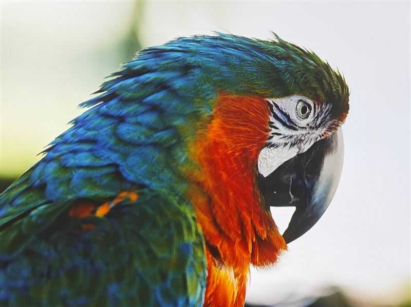 当贝X5Pro值得入手吗 激光投影仪当贝X5Pro详细评测插图29 当贝X5Pro值得入手吗 激光投影仪当贝X5Pro详细评测插图29