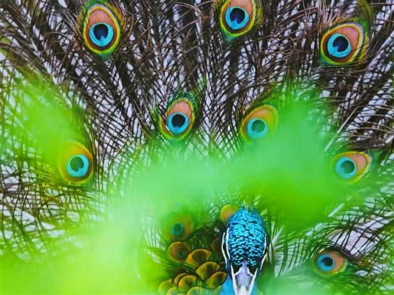 当贝X5Pro值得入手吗 激光投影仪当贝X5Pro详细评测插图31 当贝X5Pro值得入手吗 激光投影仪当贝X5Pro详细评测插图31