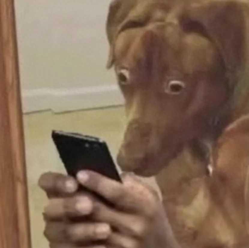 美版被破解！最便宜的 iPhone 15 来了插图14