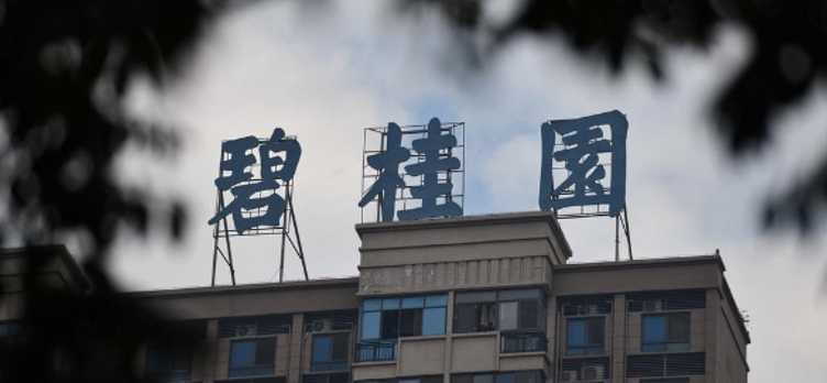 杨氏家族如何支持碧桂园 提供3亿借款 出售私人飞机筹款