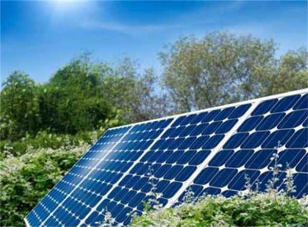 泽润新能更新IPO招股书有什么 上半年营收4亿 毛利率稳增