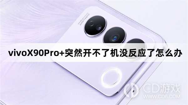 vivoX90Pro+突然开不了机没反应了解决方法?vivoX90Pro+突然开不了机没反应了怎么办