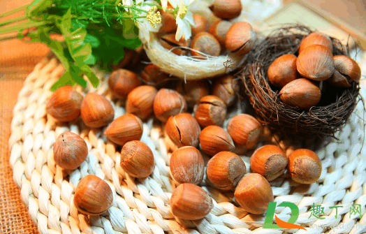 野生生榛子有点苦正常吗?榛子苦了还能吃吗插图 野生生榛子有点苦正常吗1