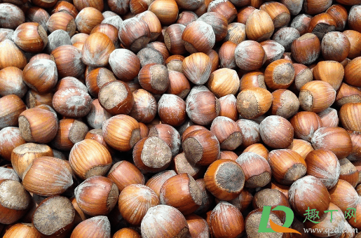 野生生榛子有点苦正常吗?榛子苦了还能吃吗插图2 野生生榛子有点苦正常吗3