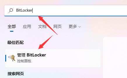 win11如何设置驱动器加密 win11驱动器加密教程插图