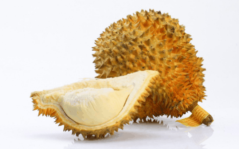 支原体肺炎可以吃榴莲吗?支原体肺炎可以吃石榴吗