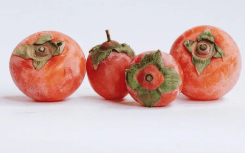 支原体肺炎可以吃柿子吗?支原体肺炎可以吃火龙果吗