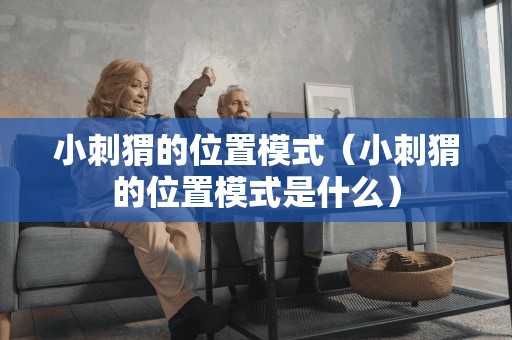 小刺猬的位置模式（小刺猬的位置模式是什么）