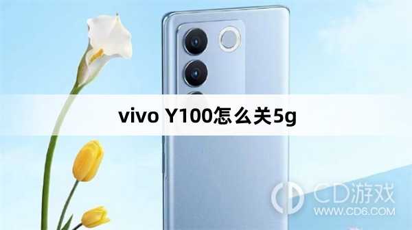 vivo Y100关5g方法?vivo Y100怎么关5g