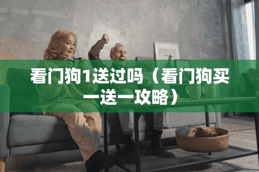看门狗1送过吗（看门狗买一送一攻略）