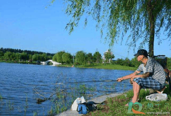 三伏天钓鱼钓深还是钓浅?三伏天钓鱼深水好还是浅水好